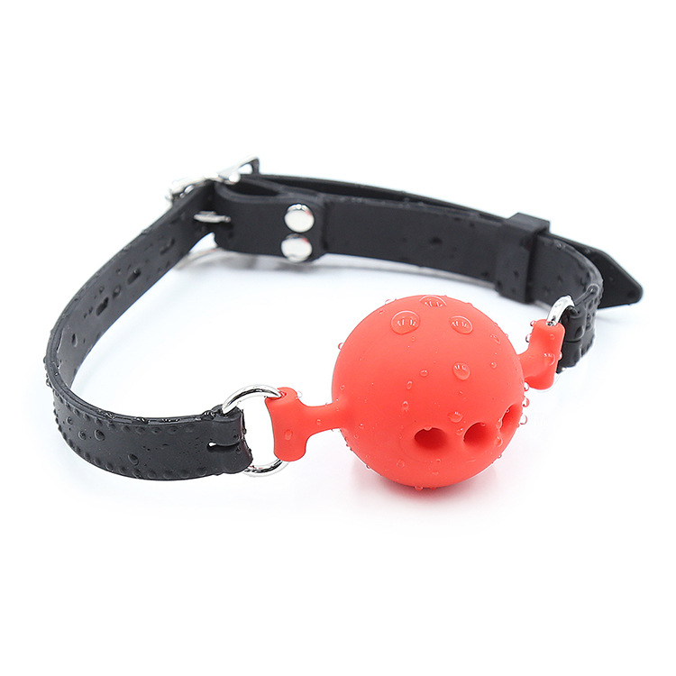 SM Sex Products Европейские и американские женские популярные поры вместе со страстными продуктами Passion Lock