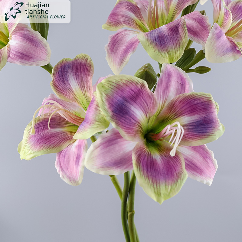 Симуляция цветы да Хуа да Хуаксиан Nordic Home Home Hotel Hotel Soft Engineering Свадебный пакет Flower Bonsai Pseudo